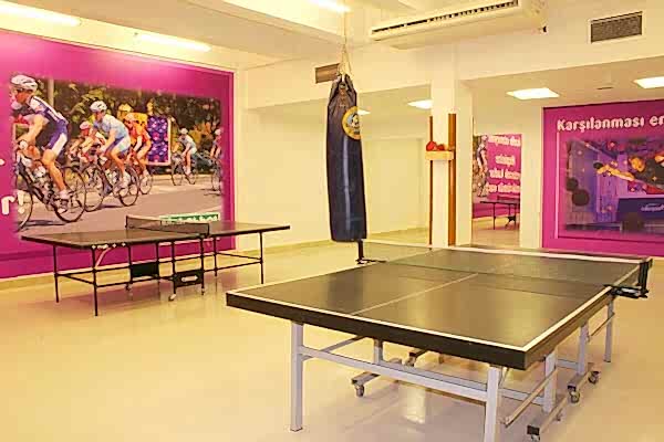 Masa Tenisi, Kartal, Maltepe, Bostancı, Pendik